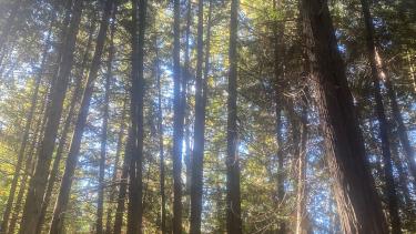 Time in Nature