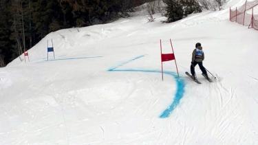 A youth skier races down a treed slope in an alpine downhill race