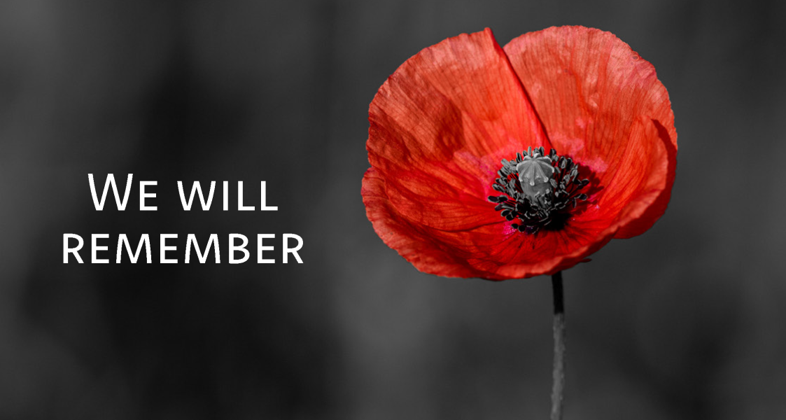 Red poppy on grey background with white text that says we will remember